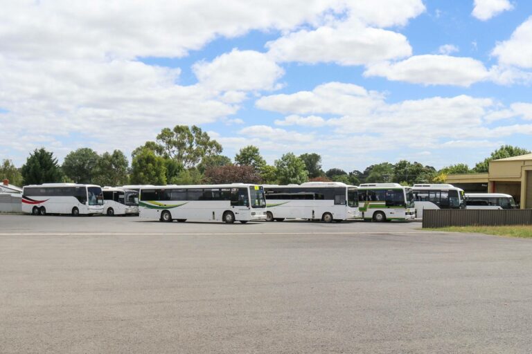 Fleet of buses parked